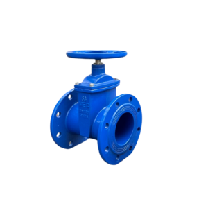 Van Cổng Ty Chìm DN100 BQP