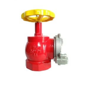 Van Gang D65 Tomoken